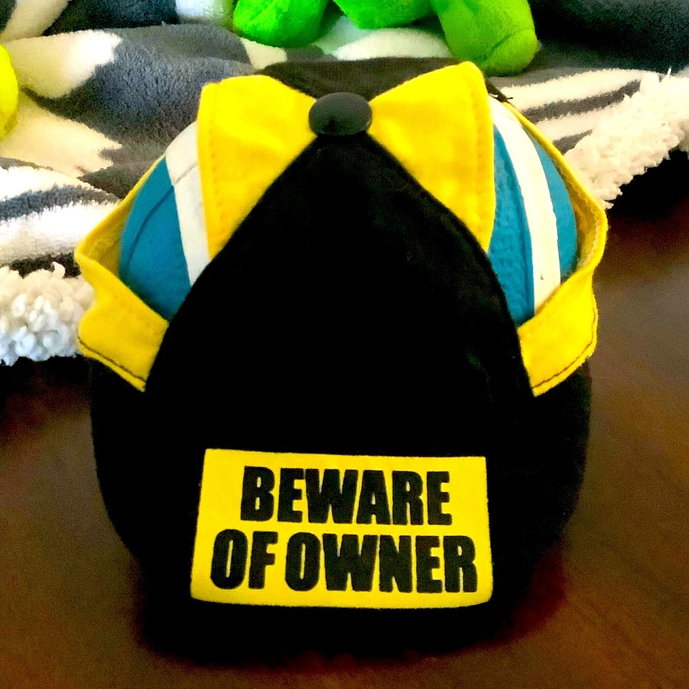 🔥Doggie Cap